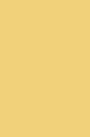 Rich Yellow Cabinet Colour